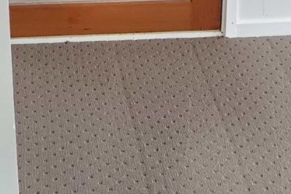 Carpet after