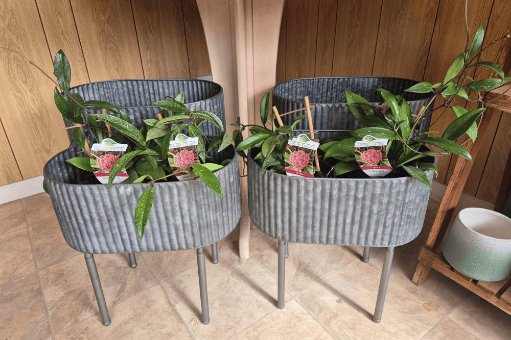 Planters